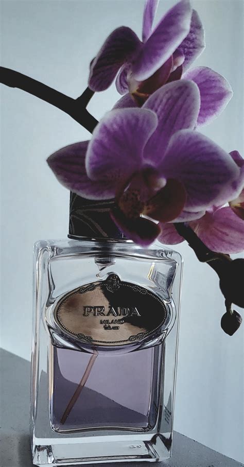 Prada Infusion De Tubereuse by Prada .